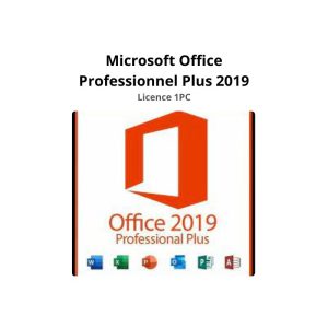 Microsoft Office Professionnel Plus 2019-1pc